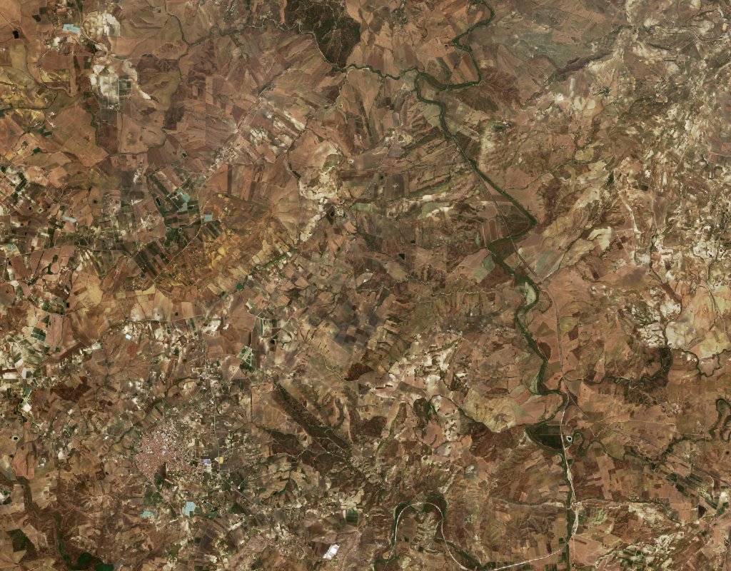 Sentinel-2 images