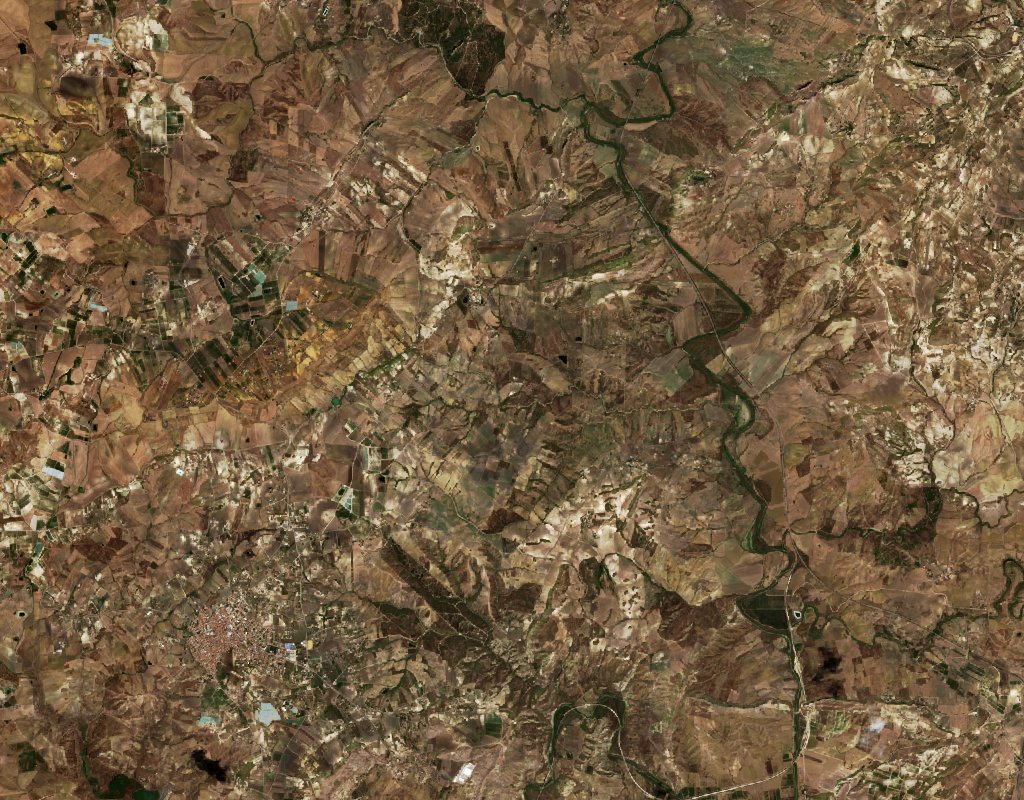 The area before the fire, August 19, 2026