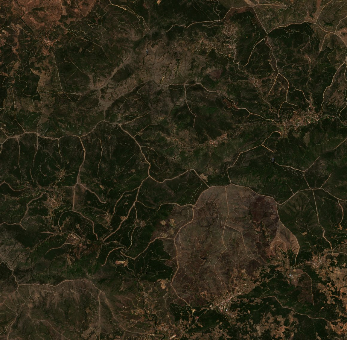 Sentinel-2 images