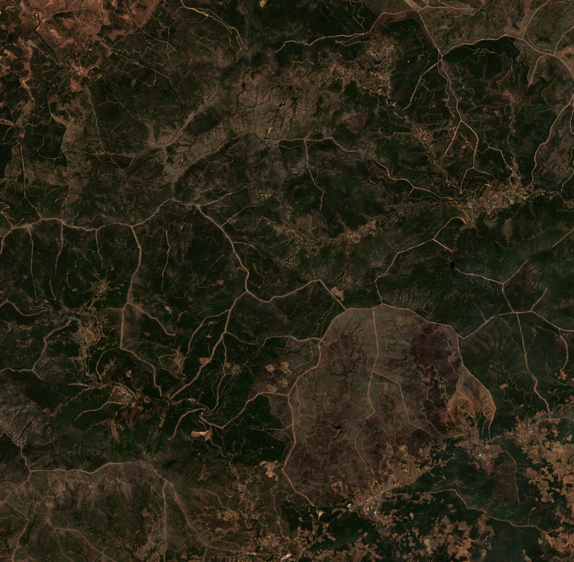 The area before the fire, August 11, 2026