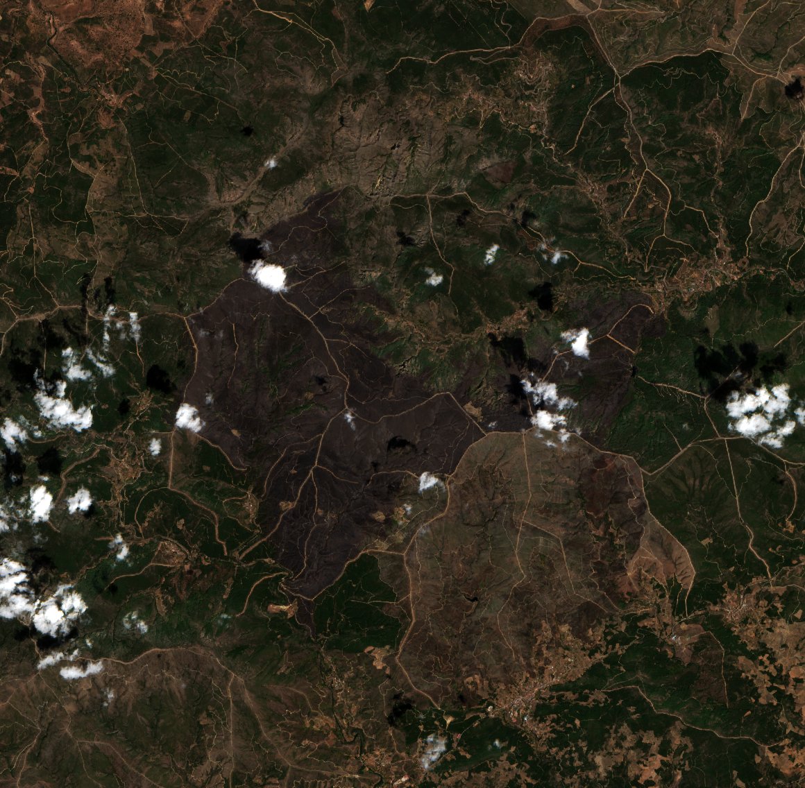 The area after the fire, August 21, 2026