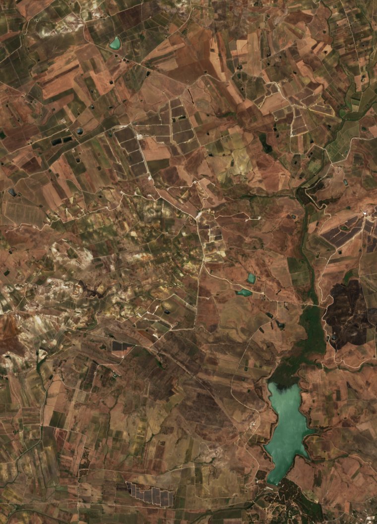 Sentinel-2 images
