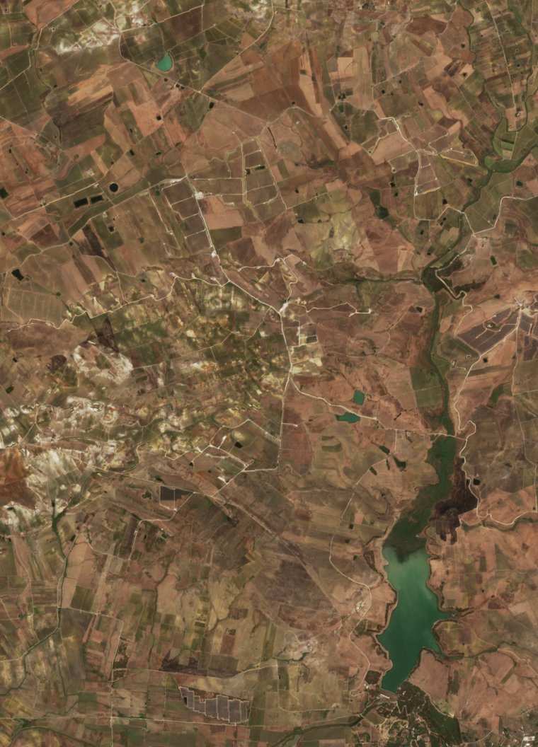 The area before the fire, August 24, 2026