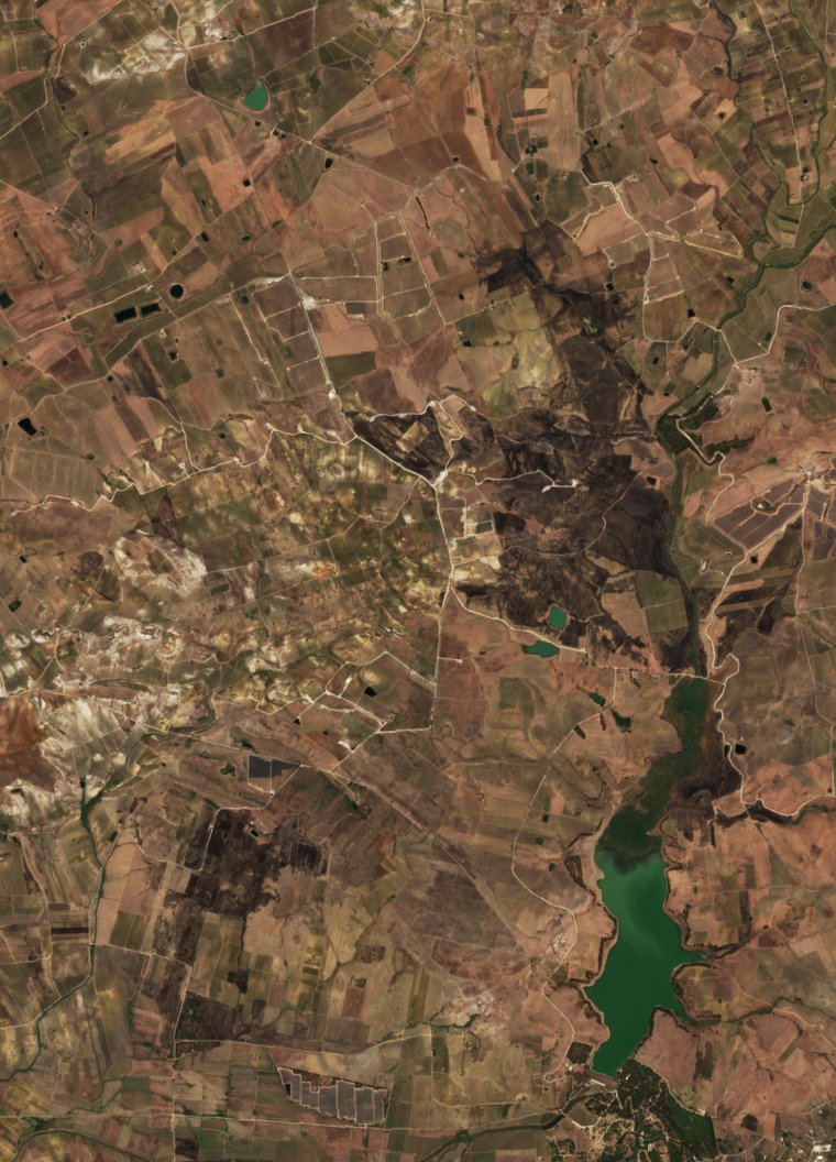 The area after the fire, September 8, 2026