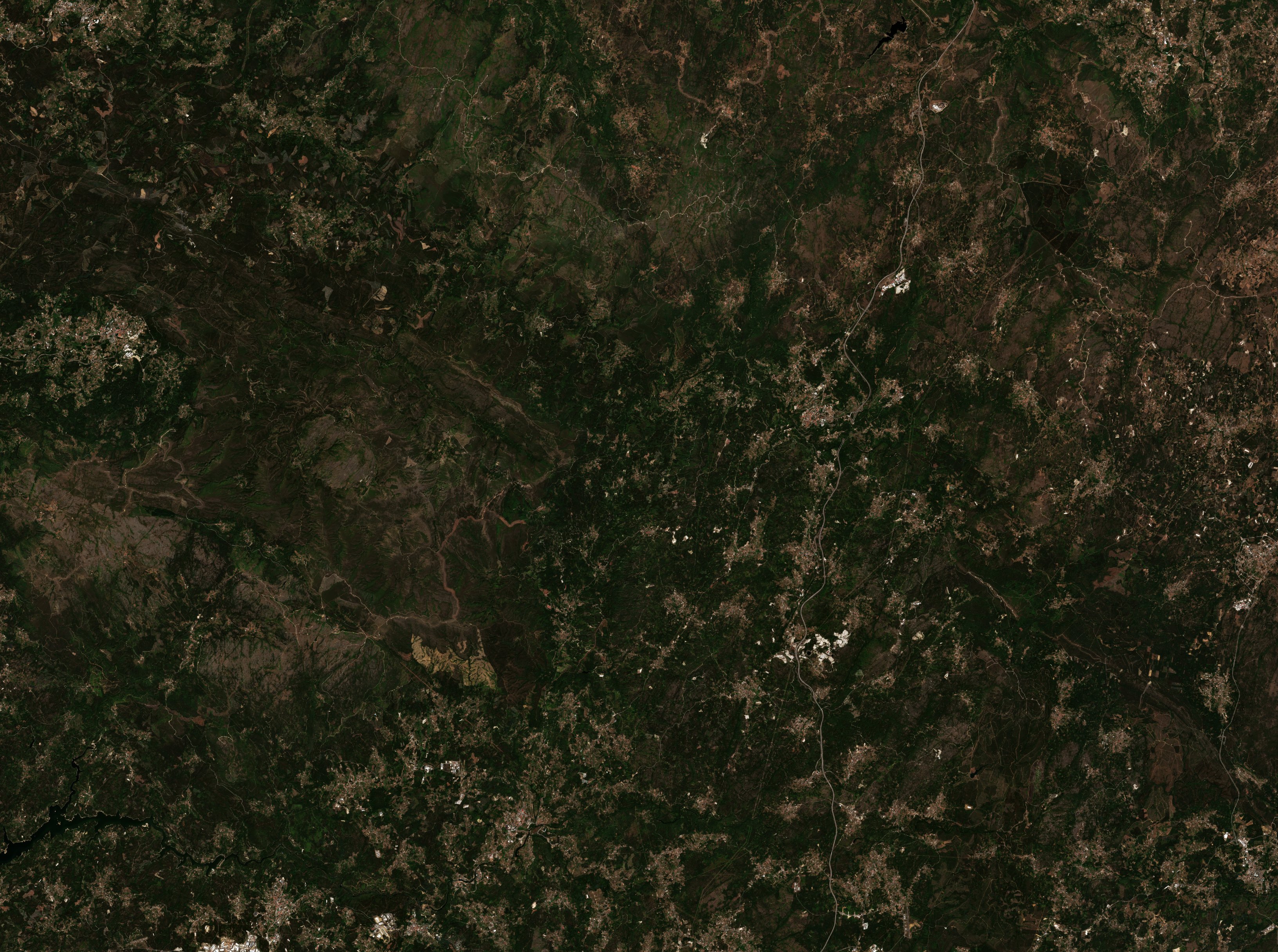 The area before the fire, August 16, 2024
