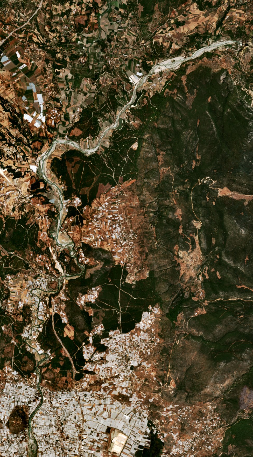 Sentinel-2 images