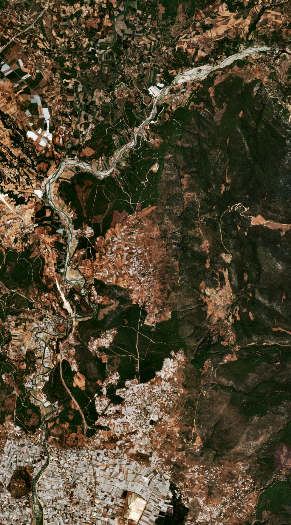The area before the fire, August 26, 2026