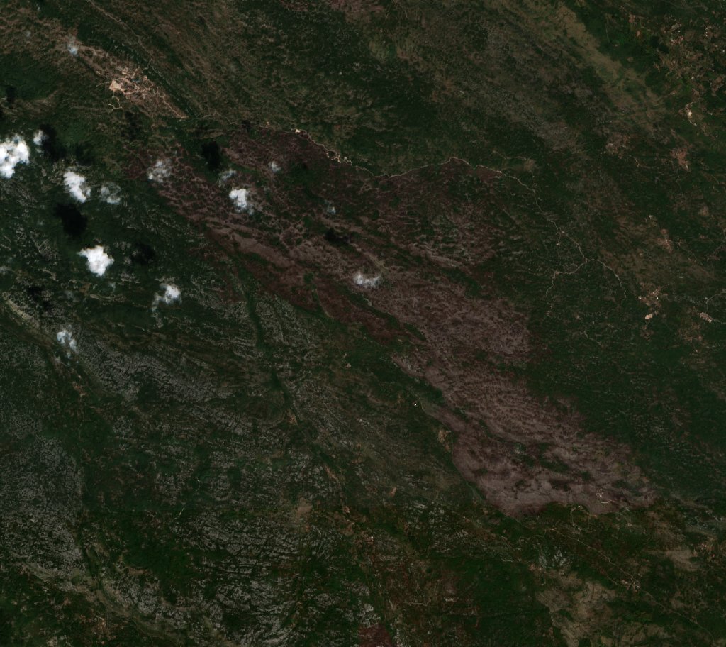 The area after the fire, August 21, 2024