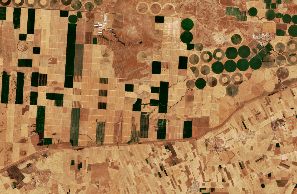 Sentinel-2 images