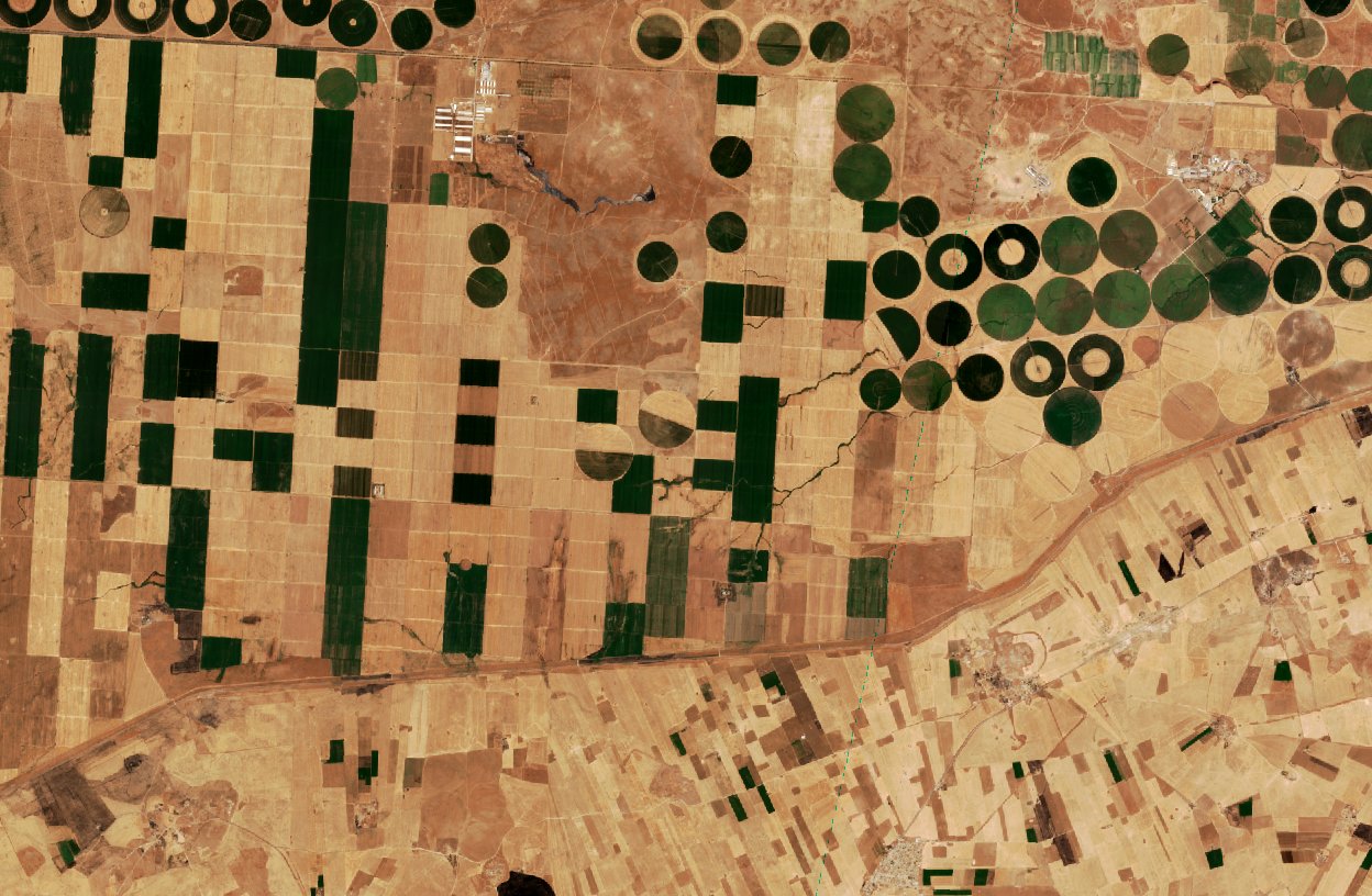 The area before the fire, August 11, 2026