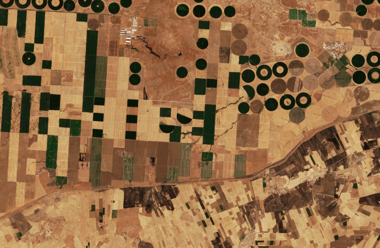 The area after the fire, September 8, 2026