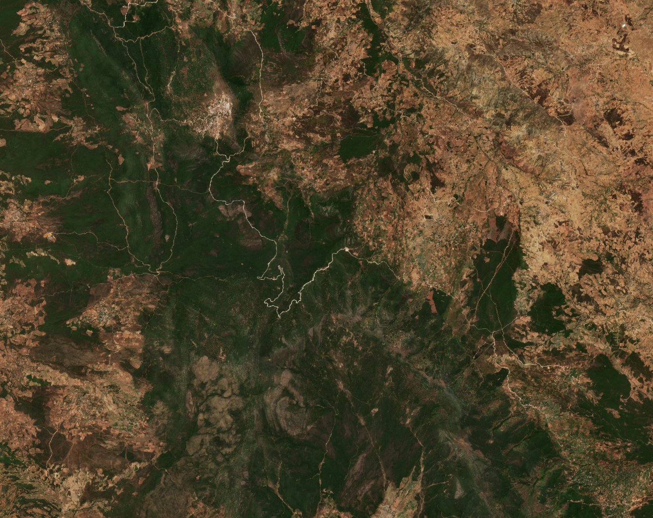 The area before the fire, July 17, 2022