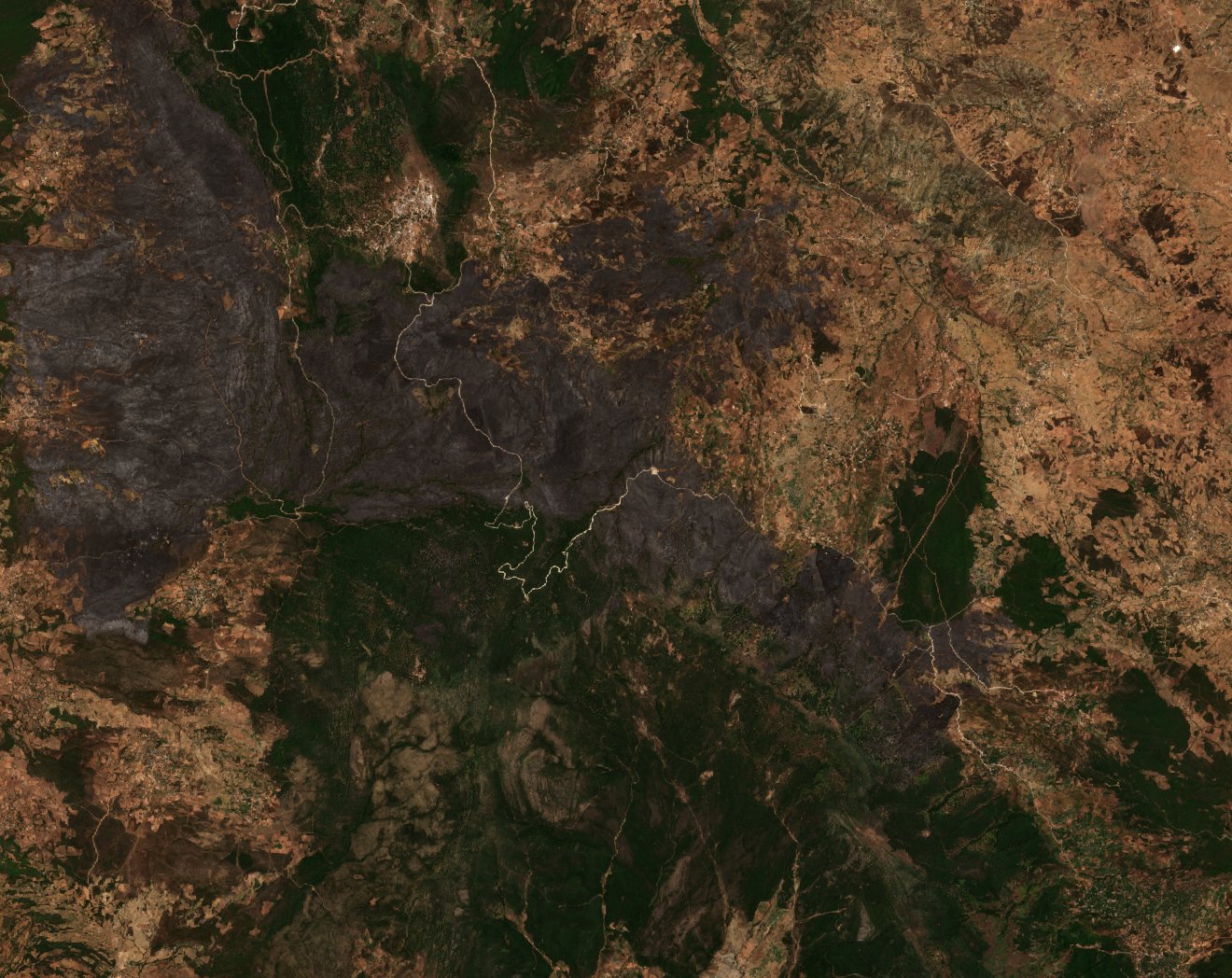 The area after the fire, August 4, 2022
