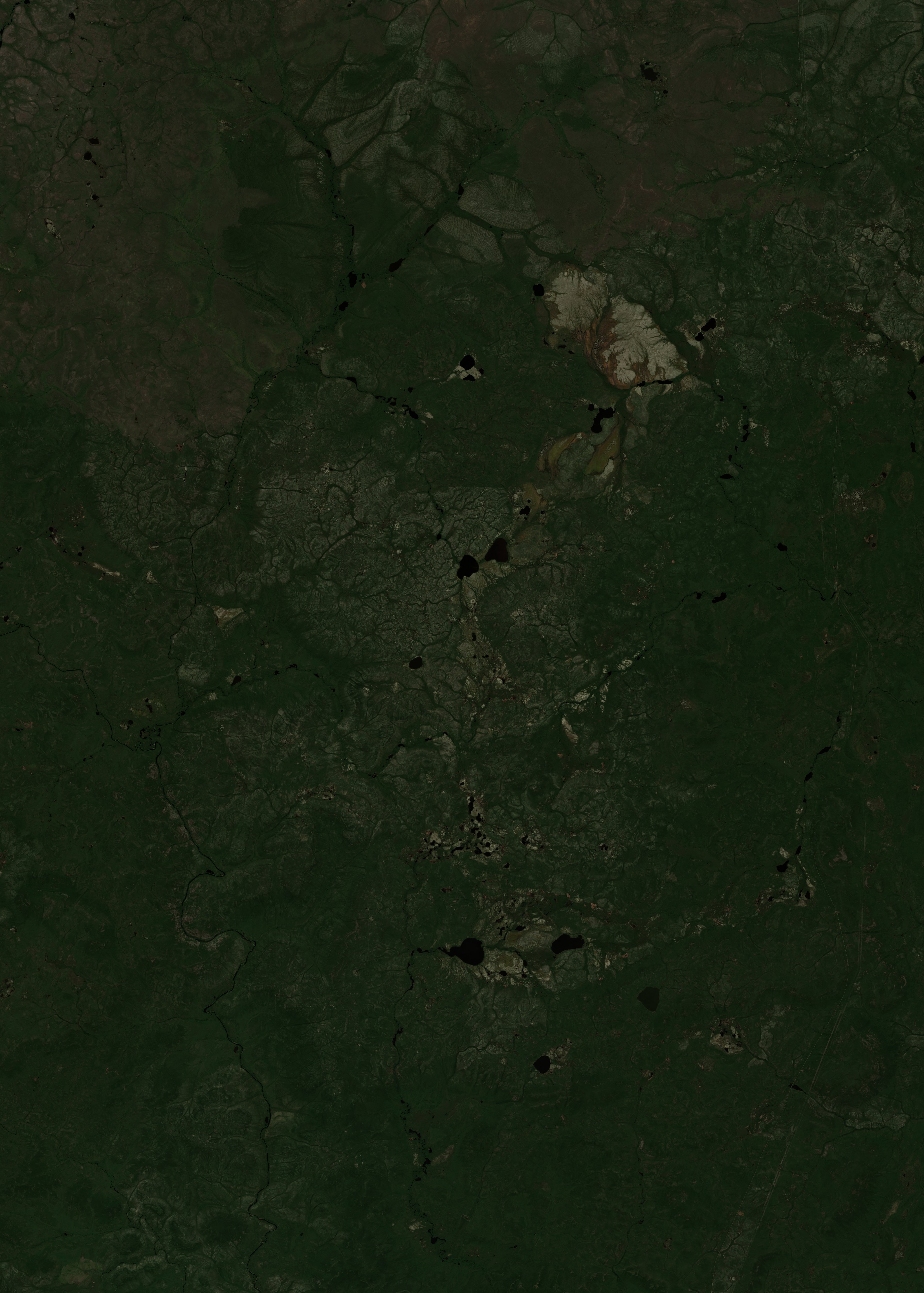 Sentinel-2 images