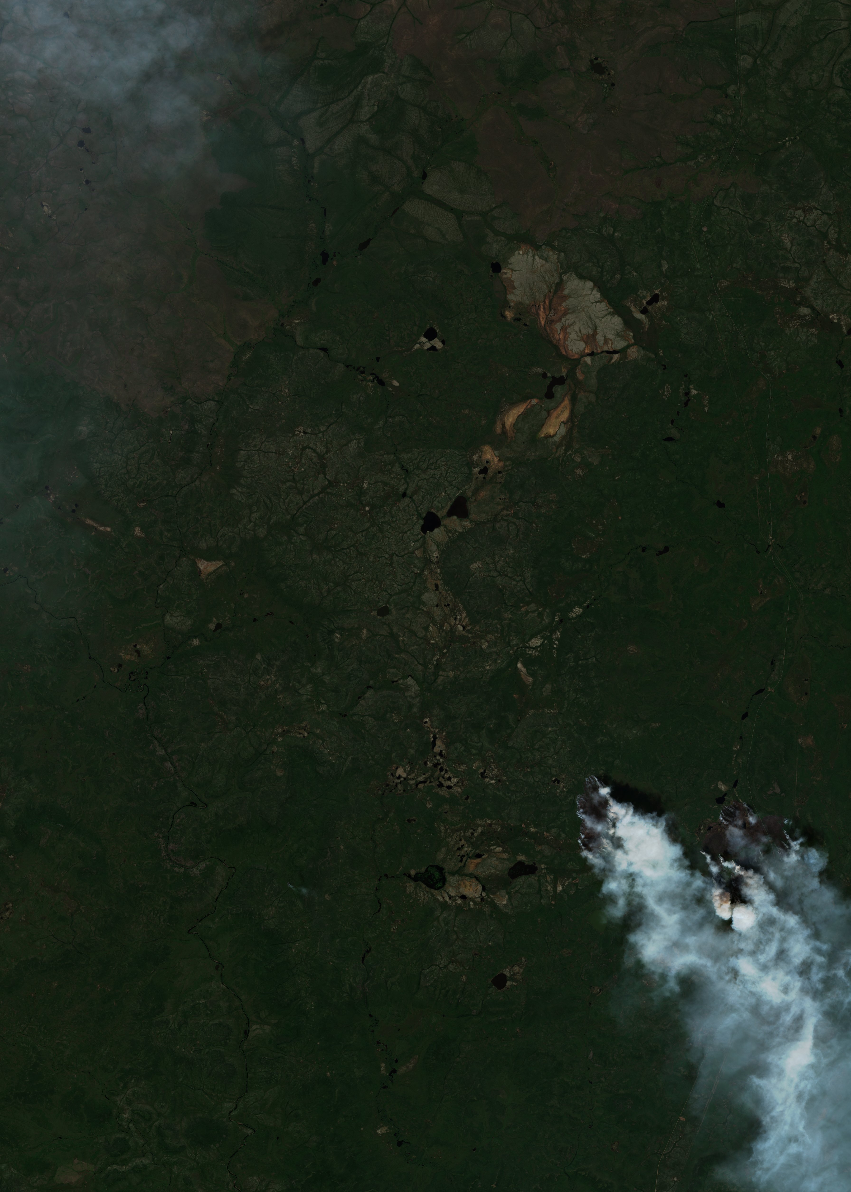 The area after the fire, August 5, 2026