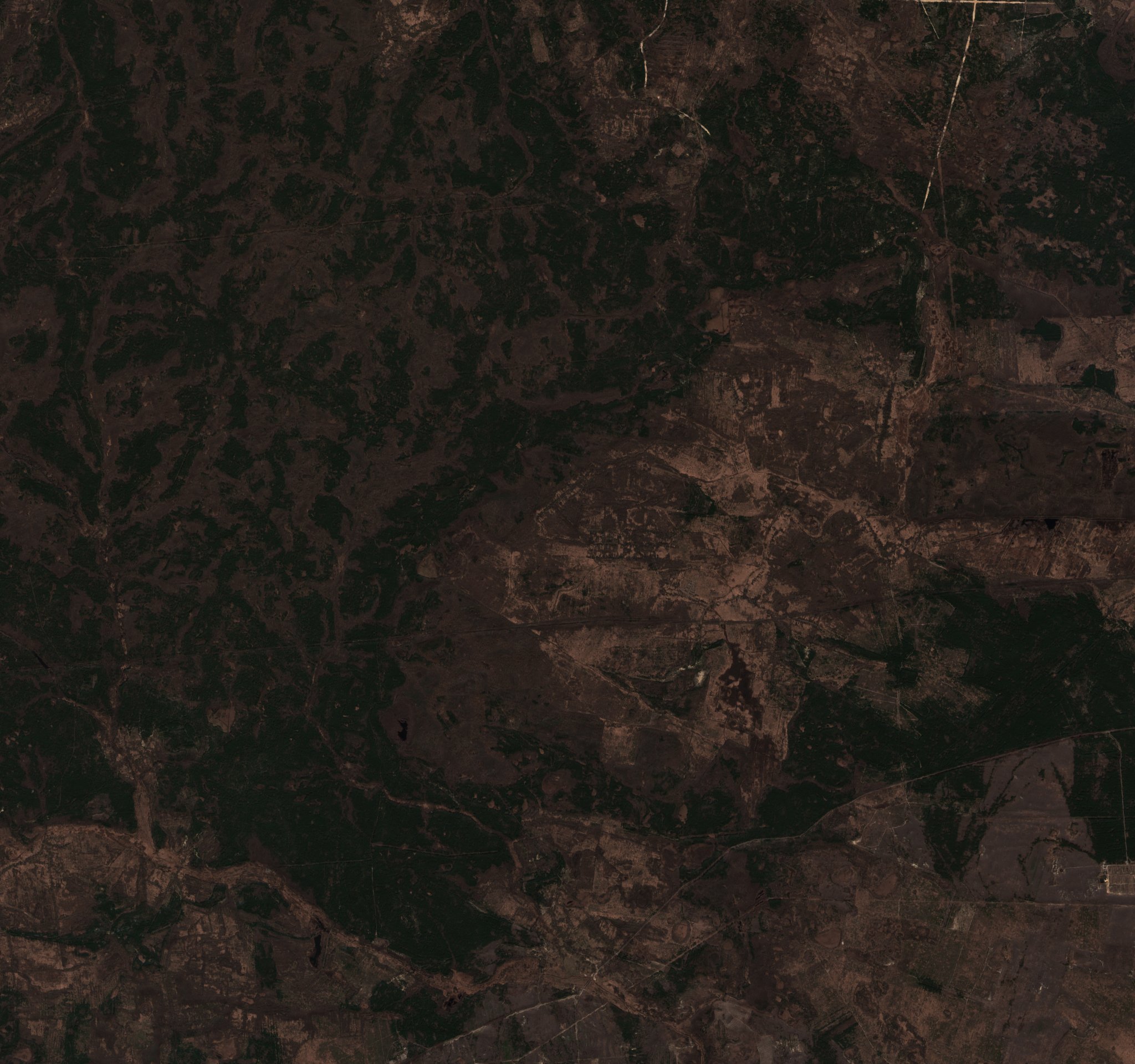 The area before the fire, March 26, 2020