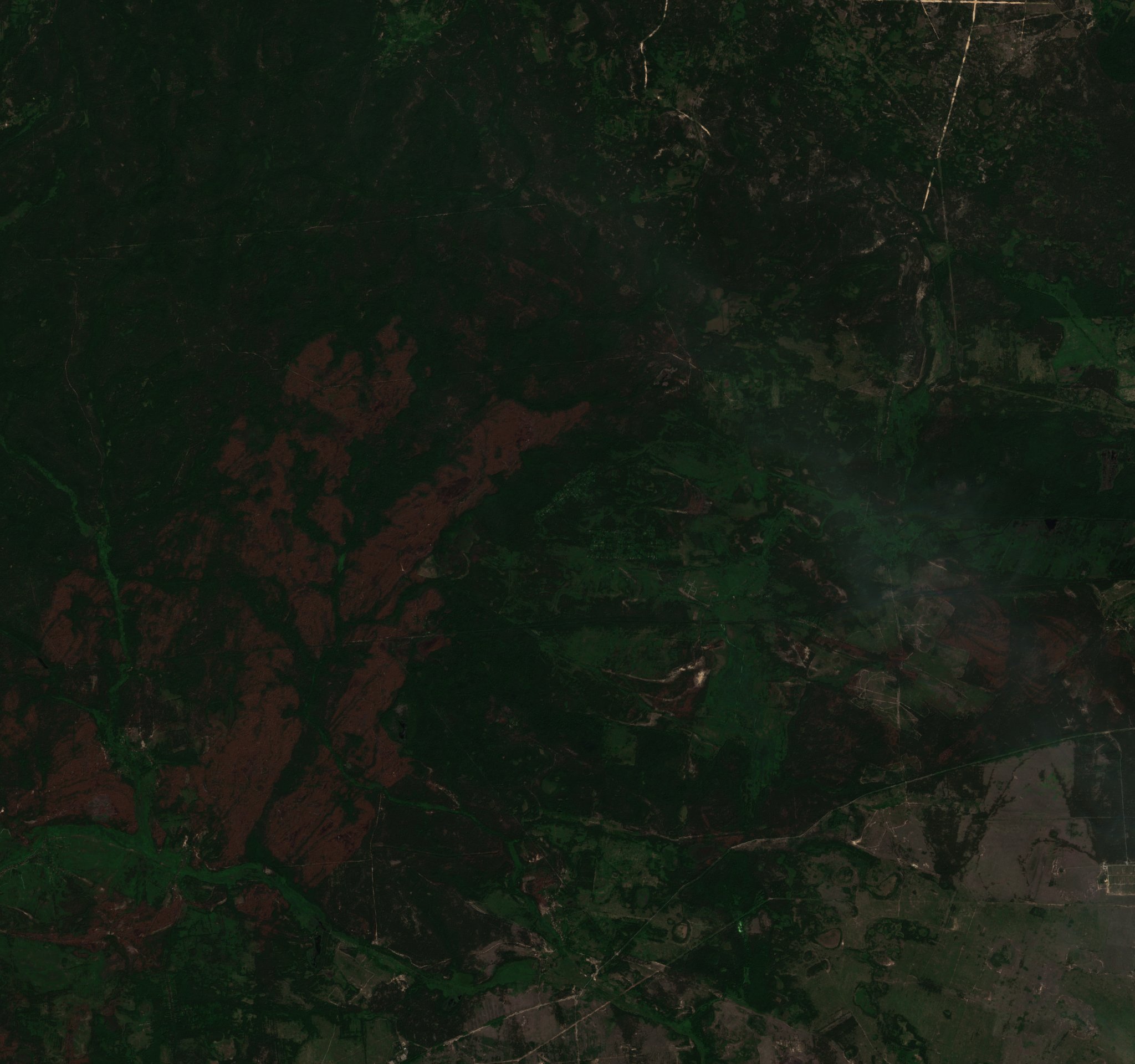 The area after the fire, June 24, 2020