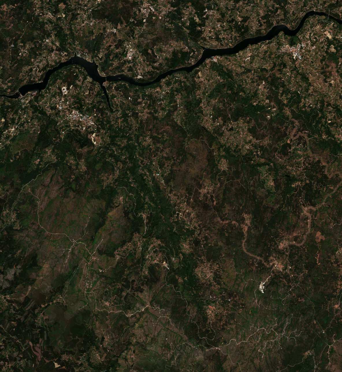 Sentinel-2 images
