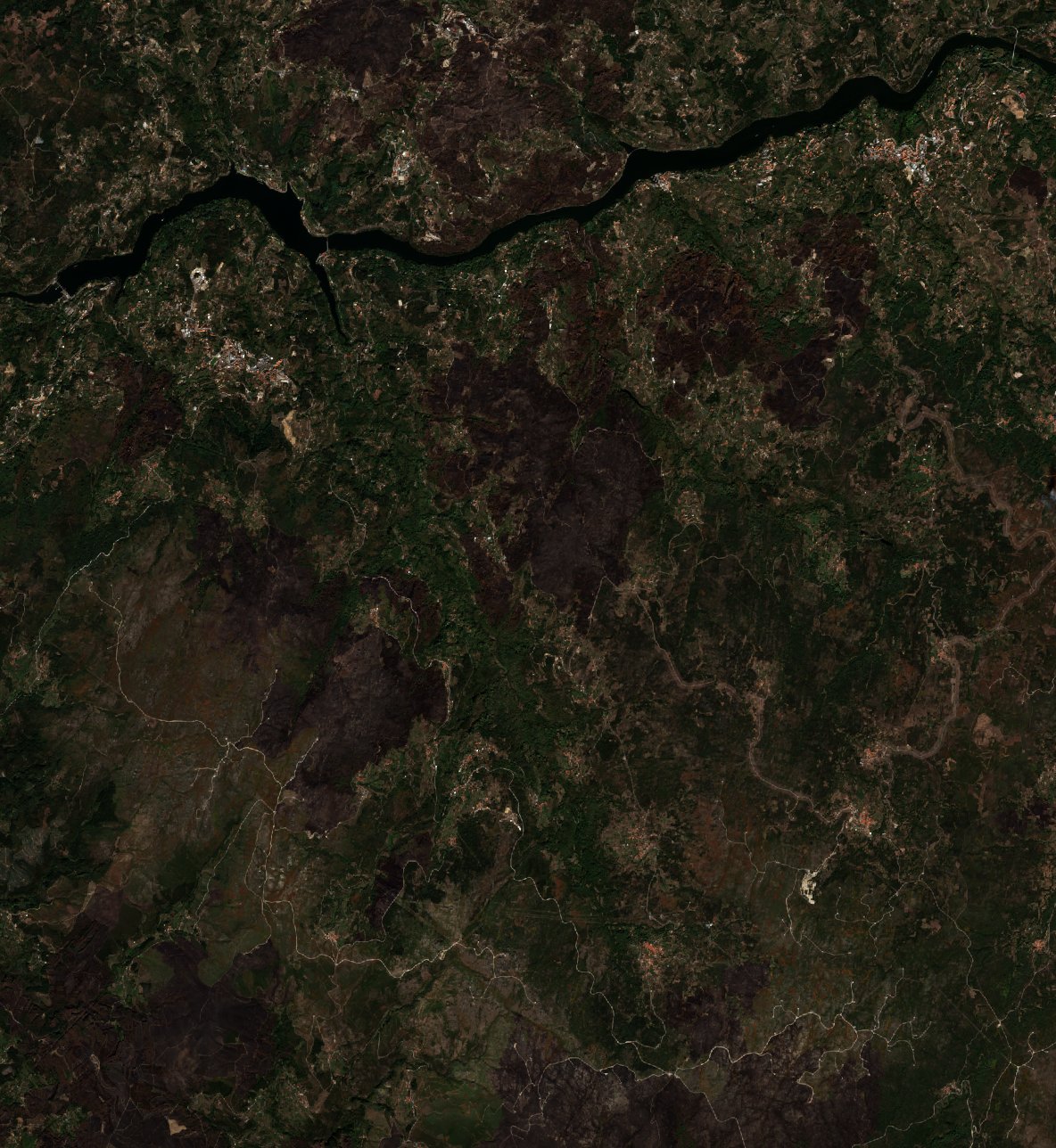 The area after the fire, September 30, 2024
