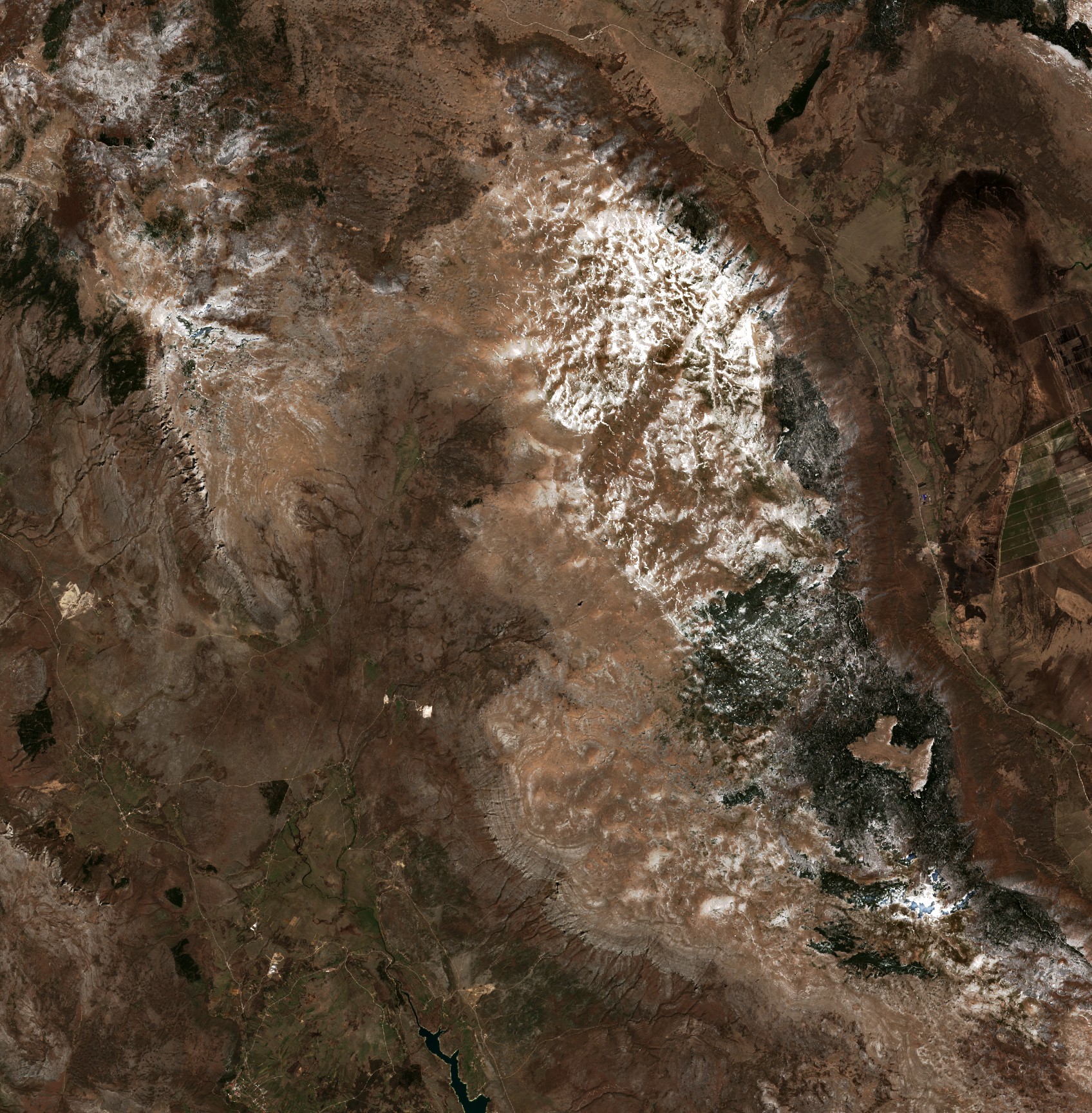 The area before the fire, April 2, 2020