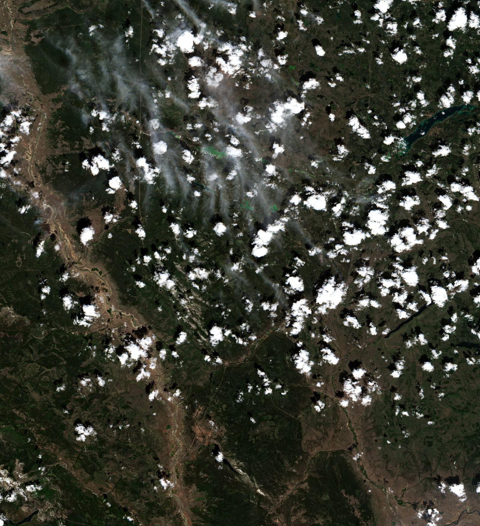Sentinel-2 images