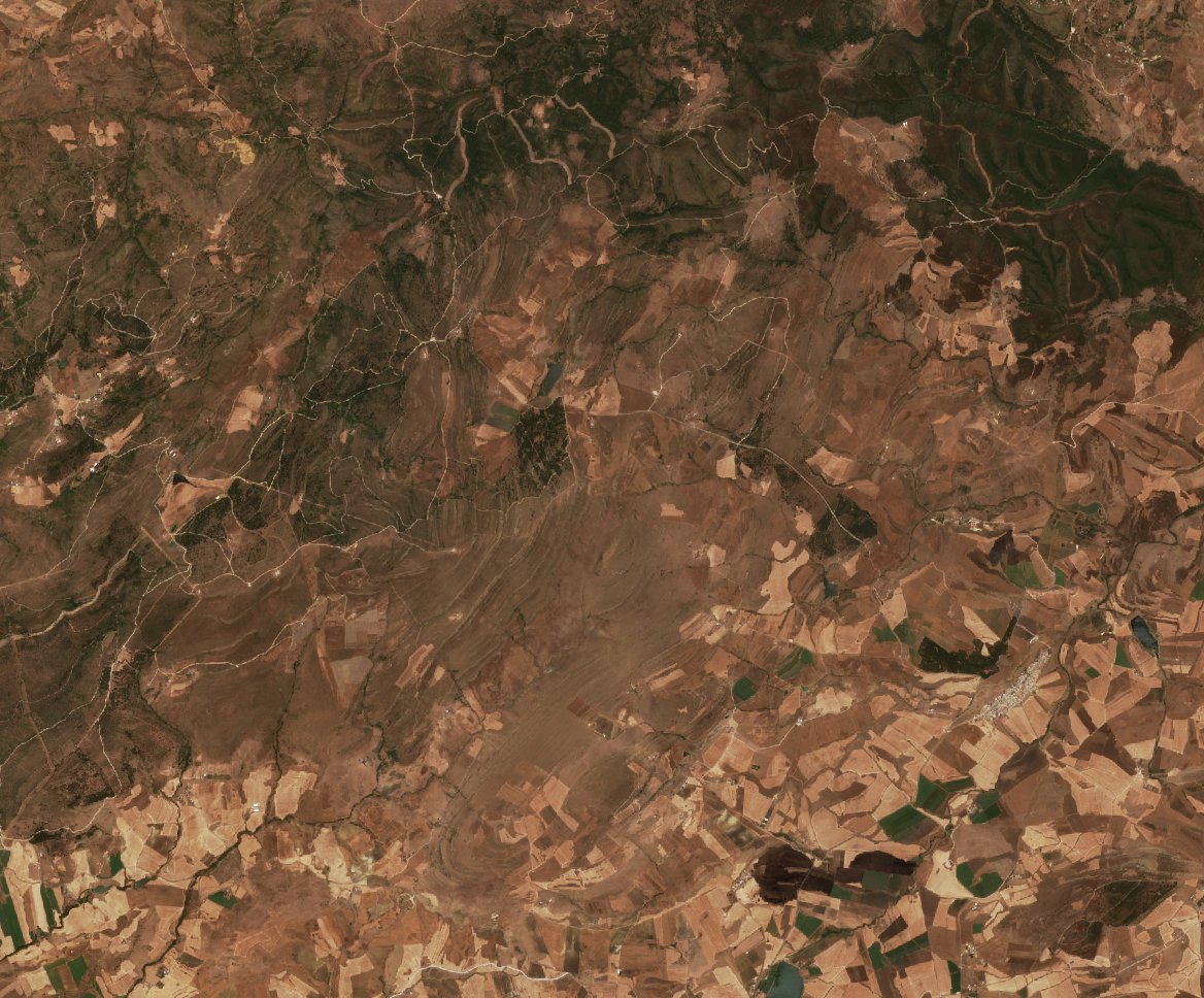 The area before the fire, July 14, 2026