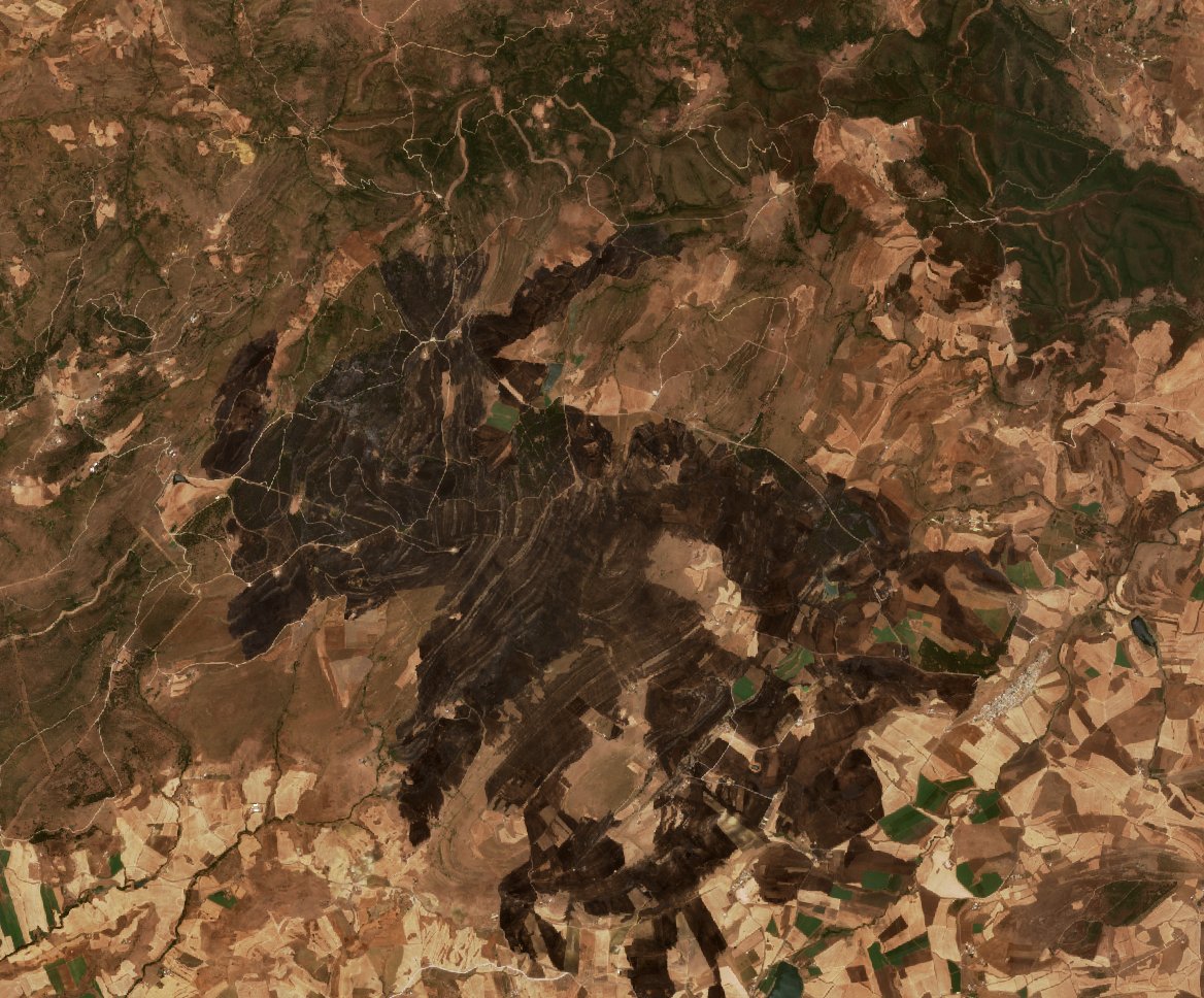 The area after the fire, July 24, 2026