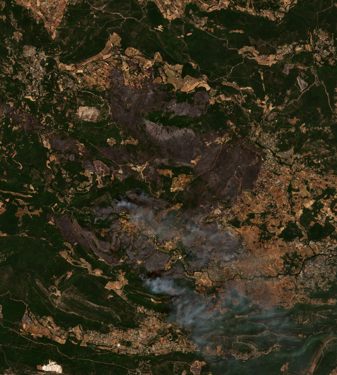 The area after the fire, August 1, 2026