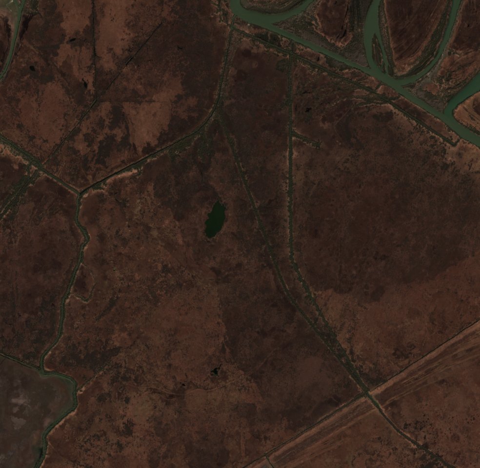 The area before the fire, March 13, 2020