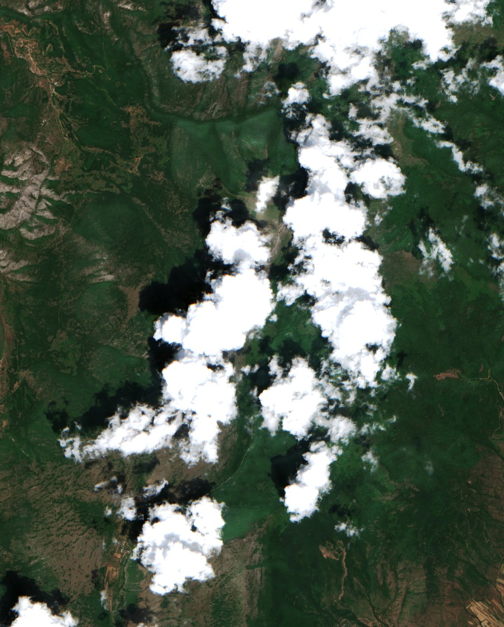 The area before the fire, June 26, 2025