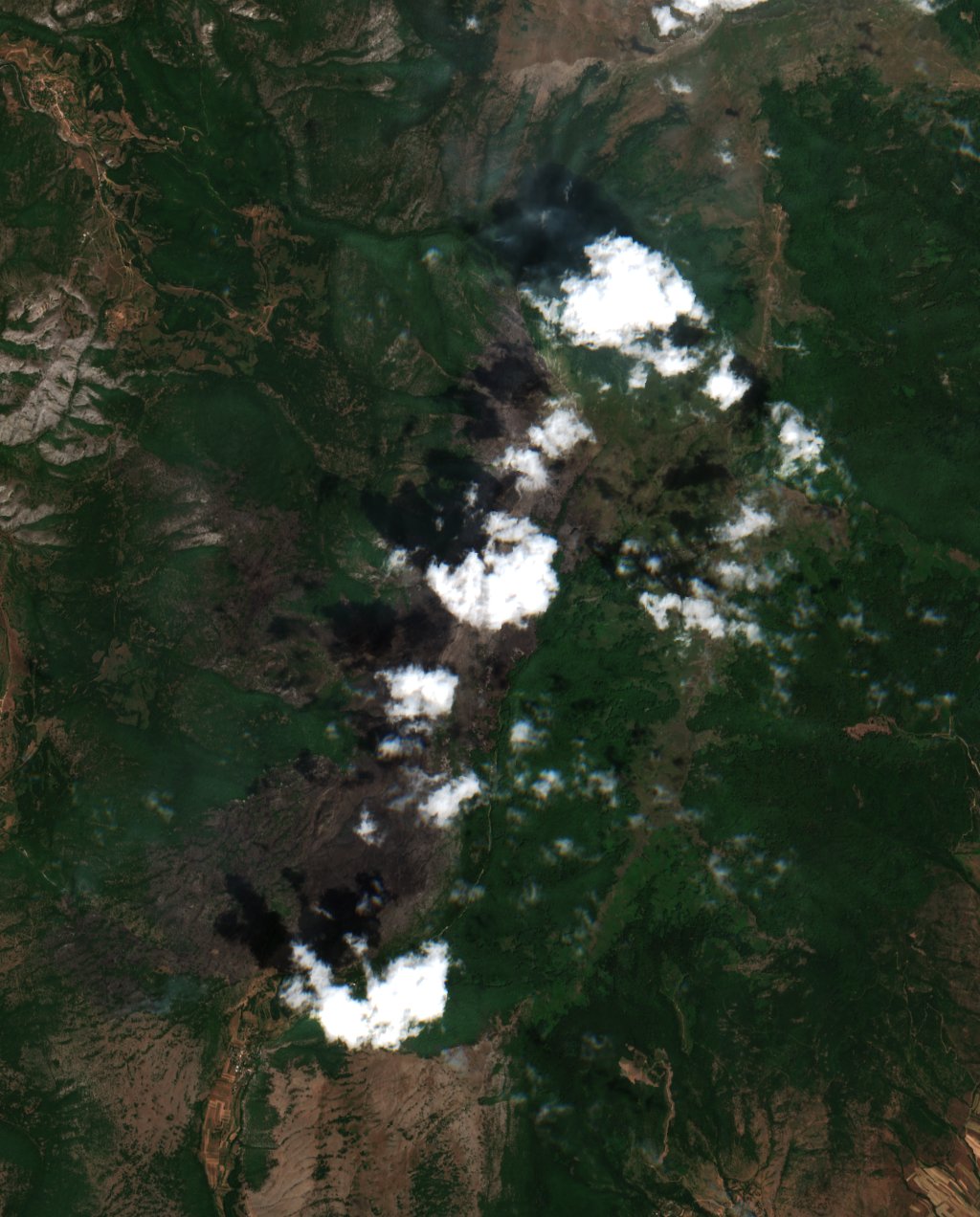 The area after the fire, July 14, 2025