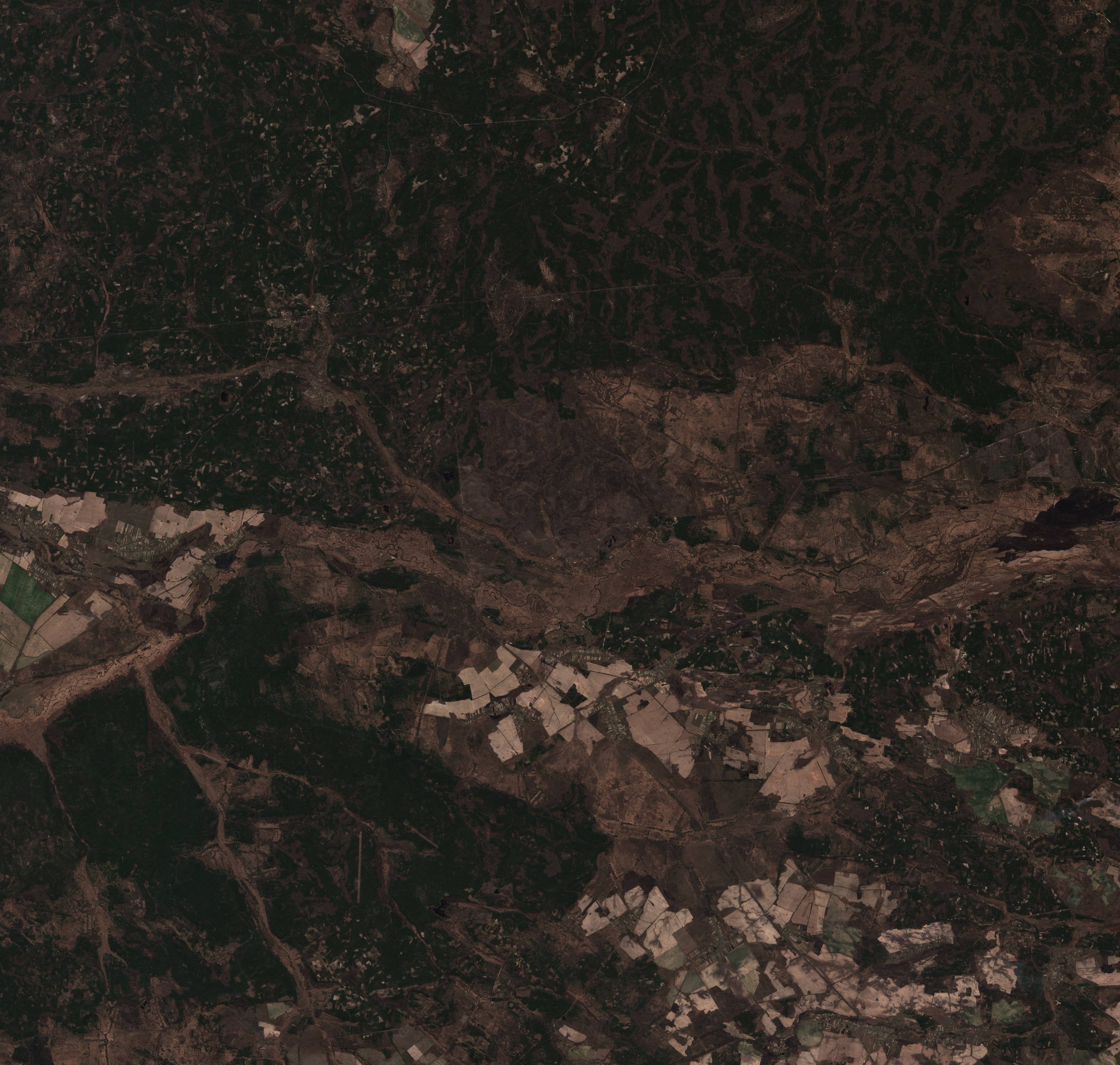 The area before the fire, March 26, 2020