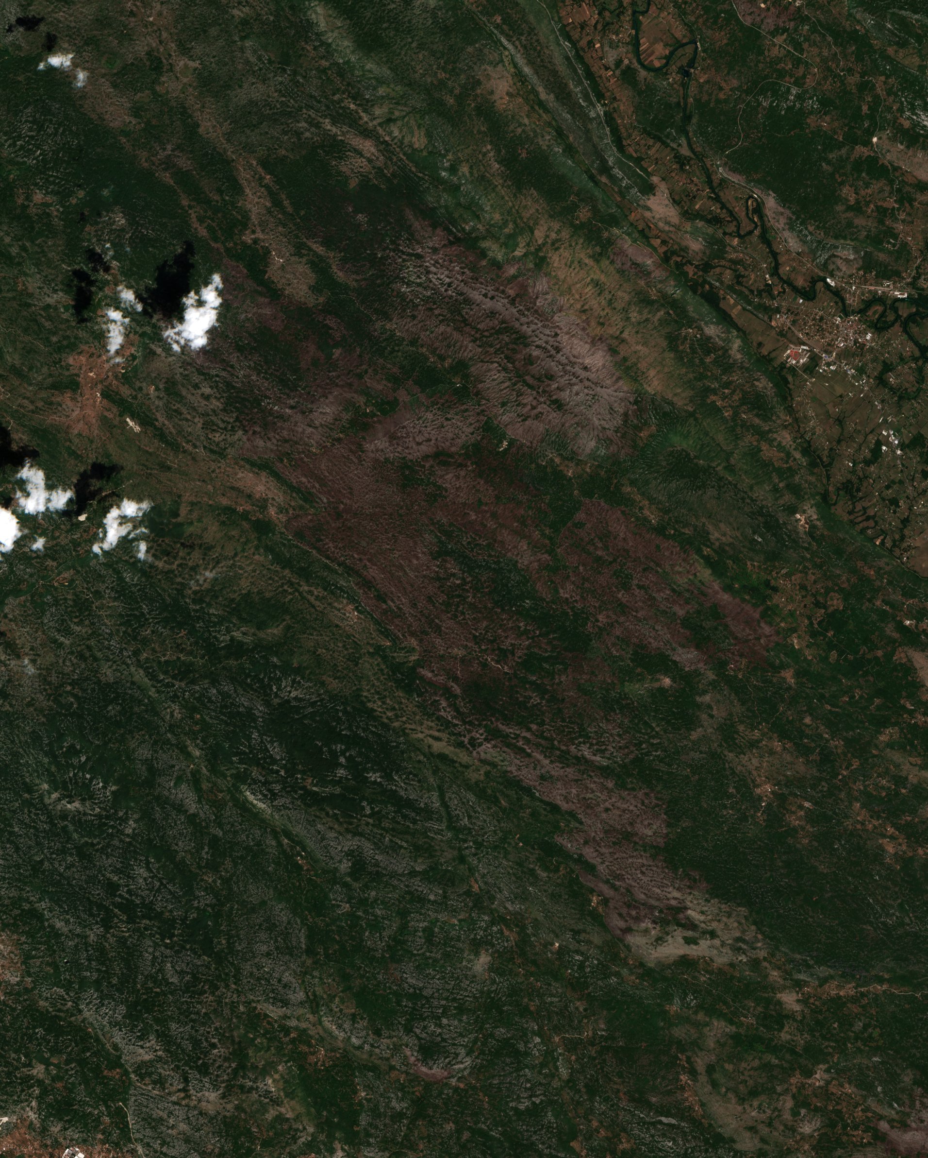 The area after the fire, July 29, 2017