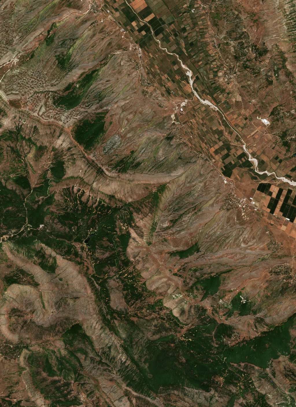 The area before the fire, July 11, 2017