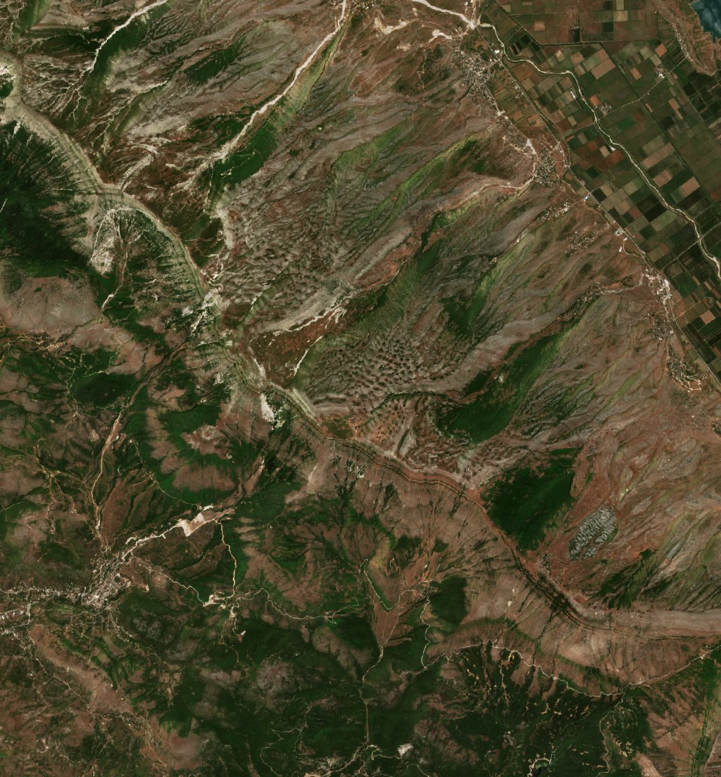 The area before the fire, June 24, 2024