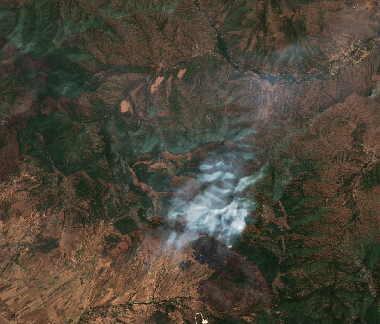 Sentinel-2 images