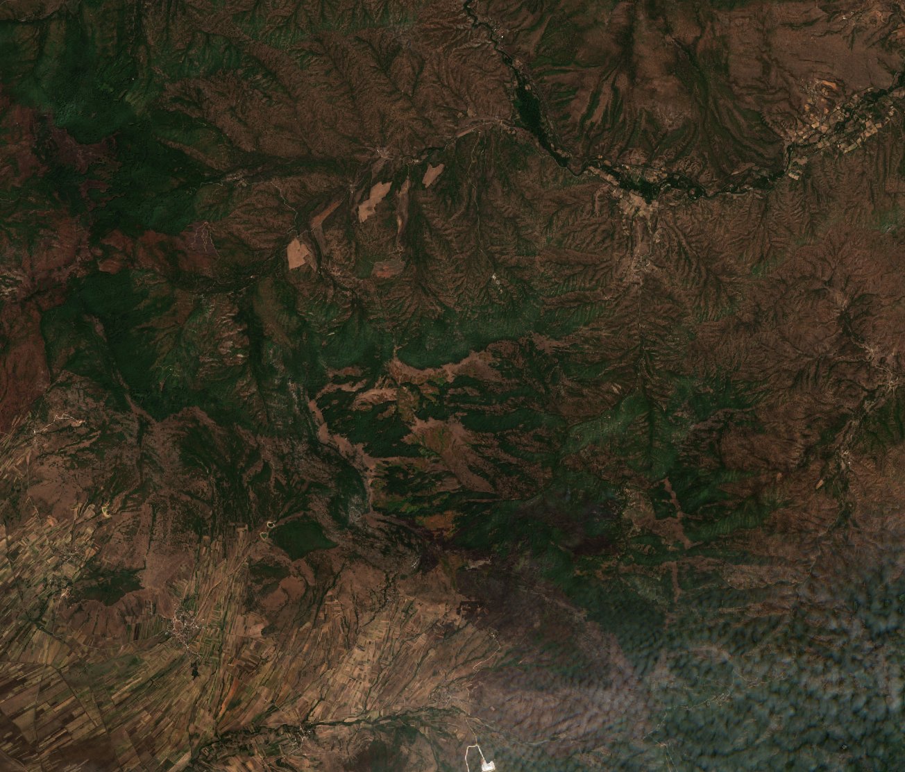The area before the fire, August 23, 2024