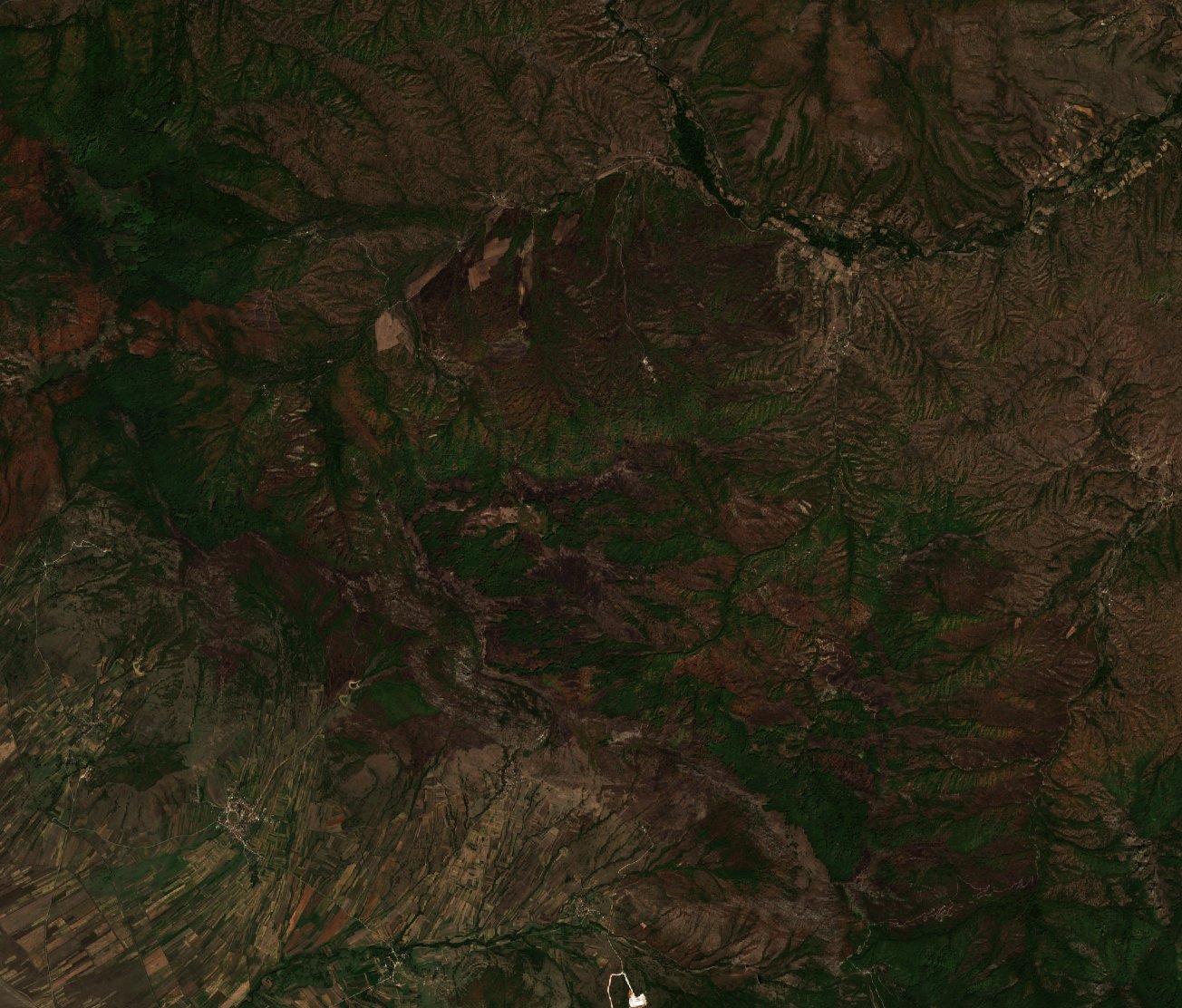 The area after the fire, September 12, 2024