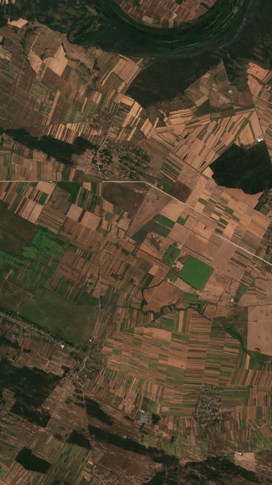 Sentinel-2 images