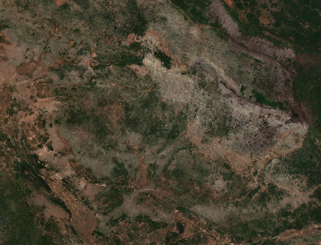 The area before the fire, August 1, 2017