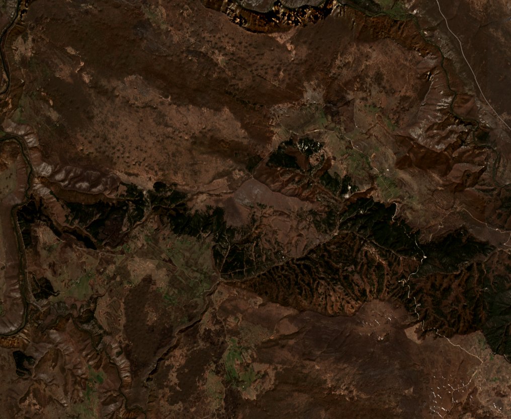 The area before the fire, April 2, 2020