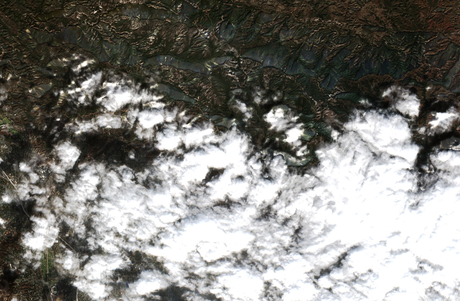 Sentinel-2 images