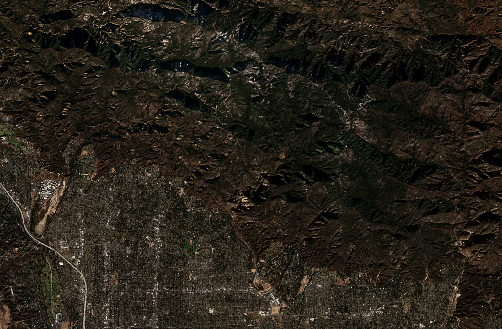 The area before the fire, December 18, 2024