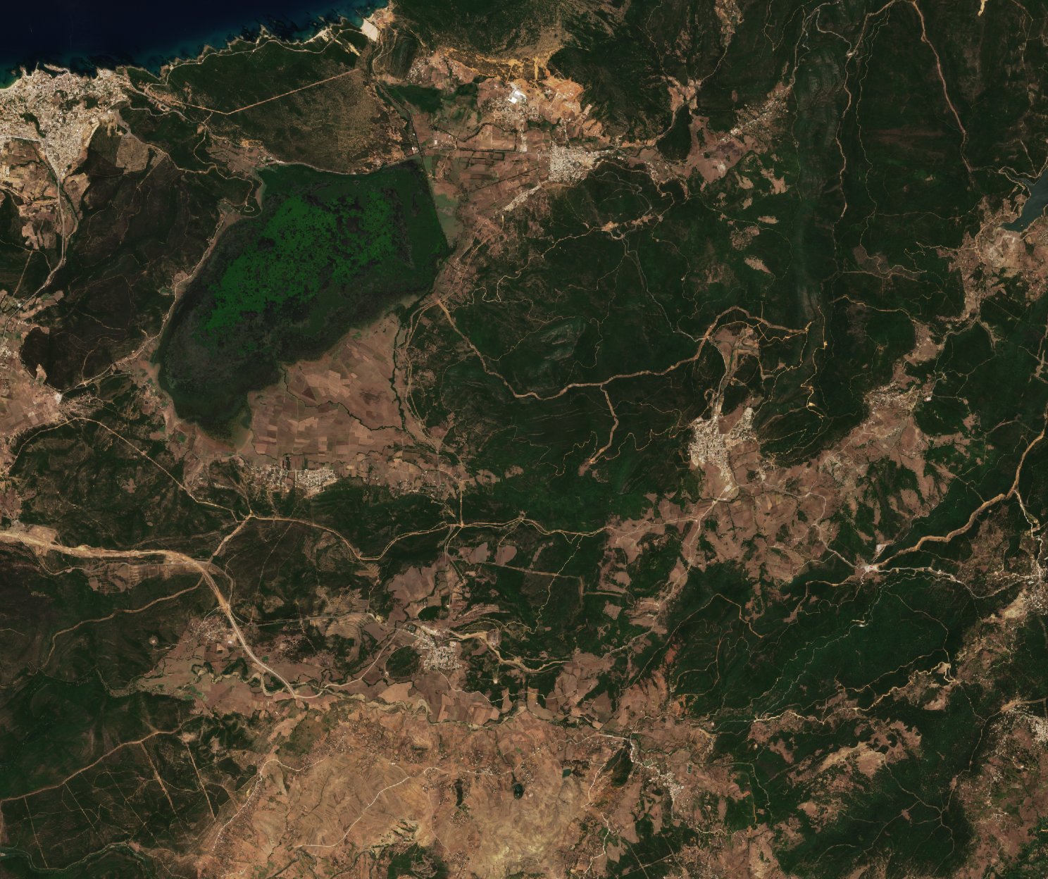 Sentinel-2 images