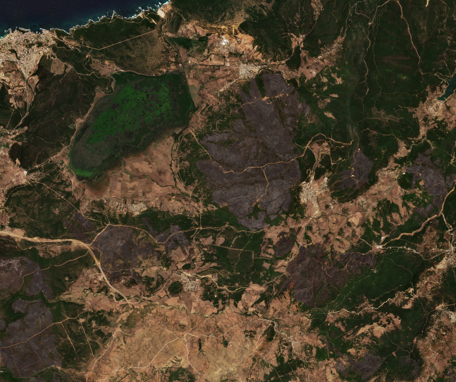 The area after the fire, August 7, 2017