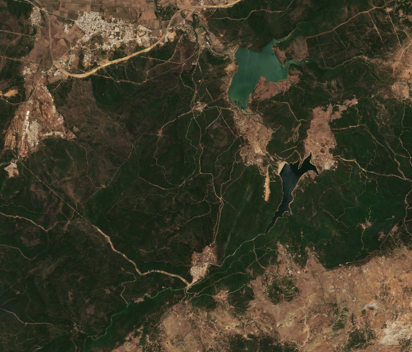 Sentinel-2 images