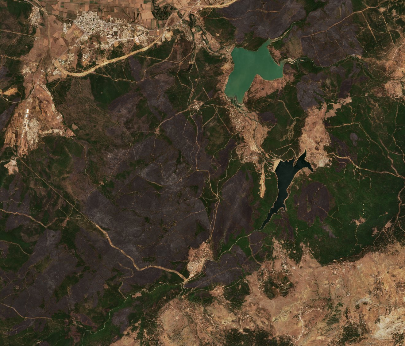 The area after the fire, August 7, 2017