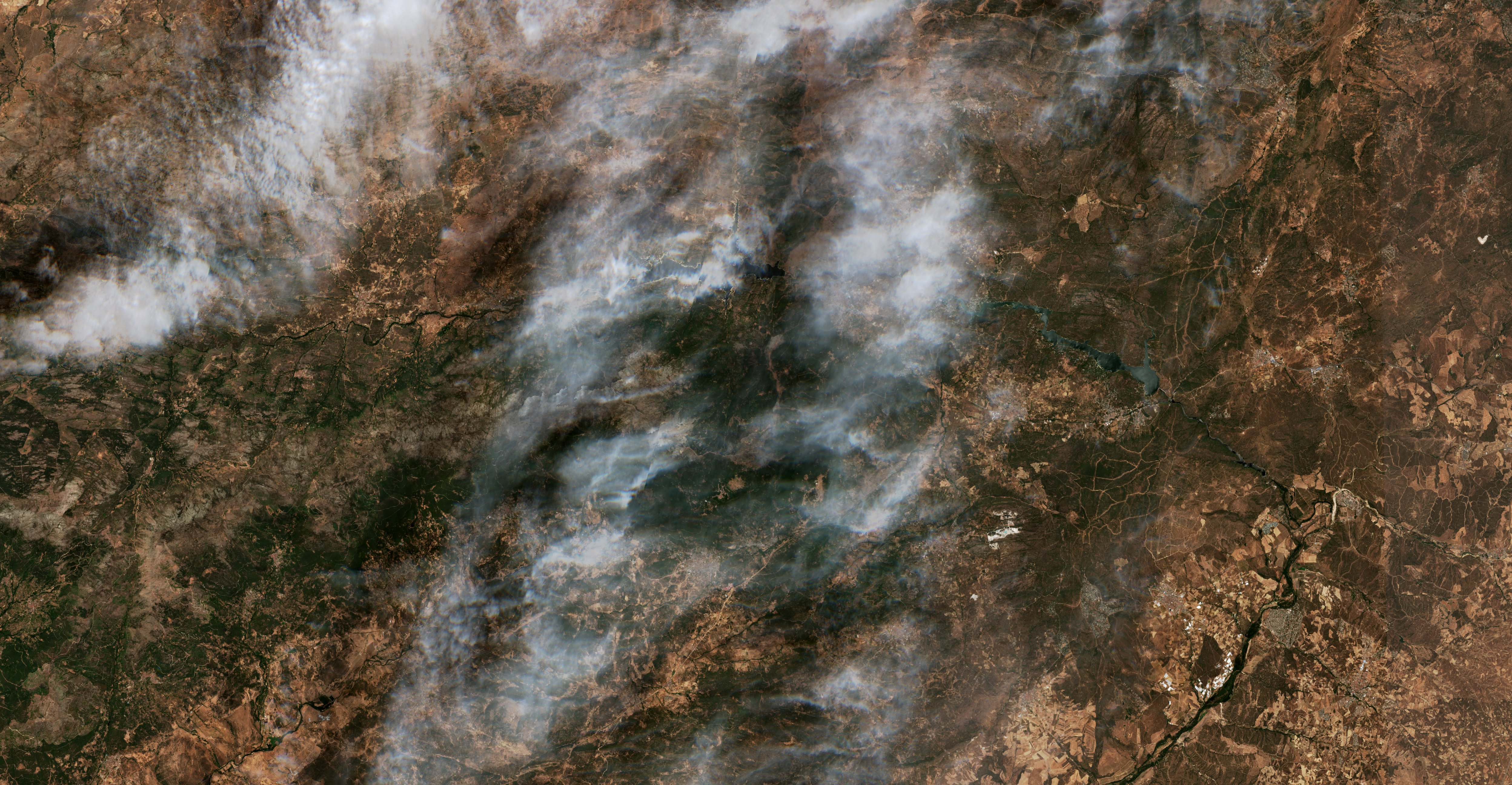 The area before the fire, July 14, 2026