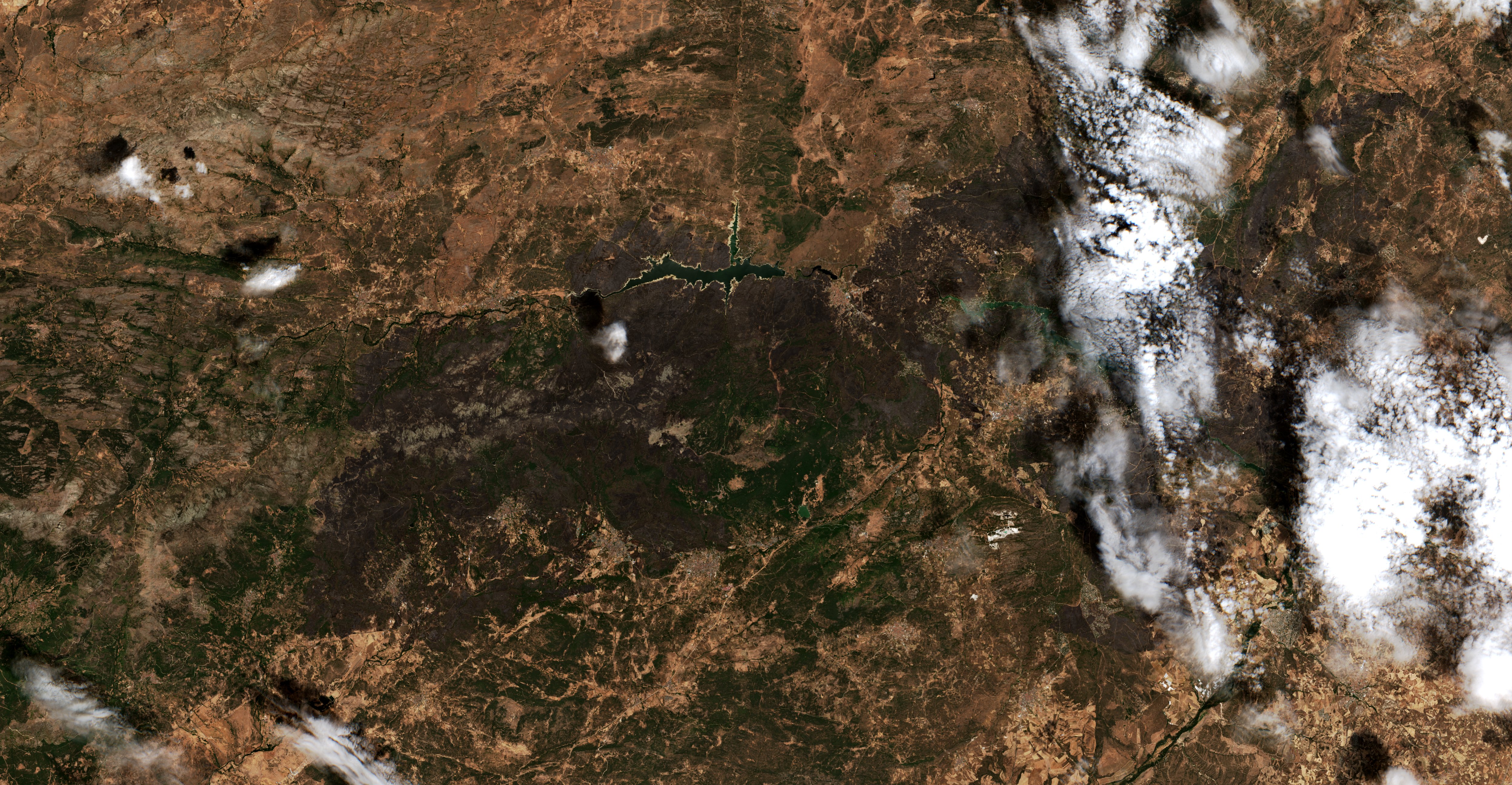 The area after the fire, August 3, 2026