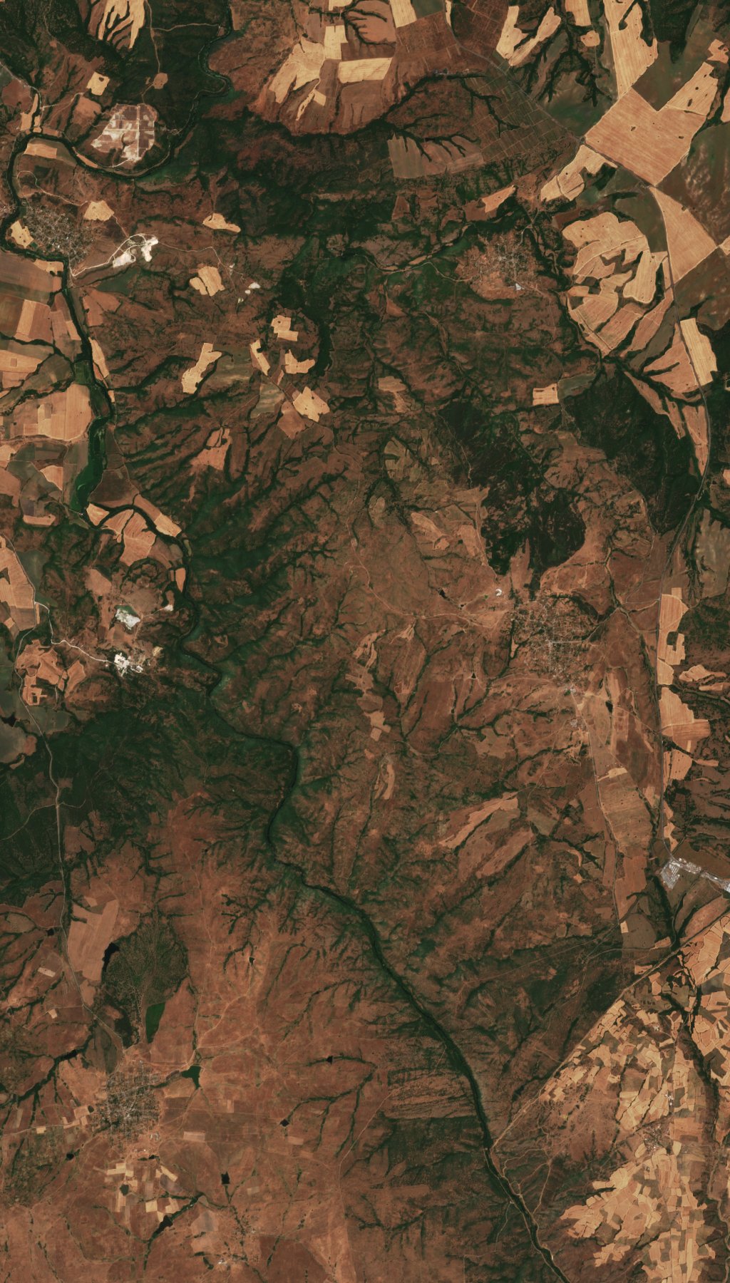 The area before the fire, July 22, 2025